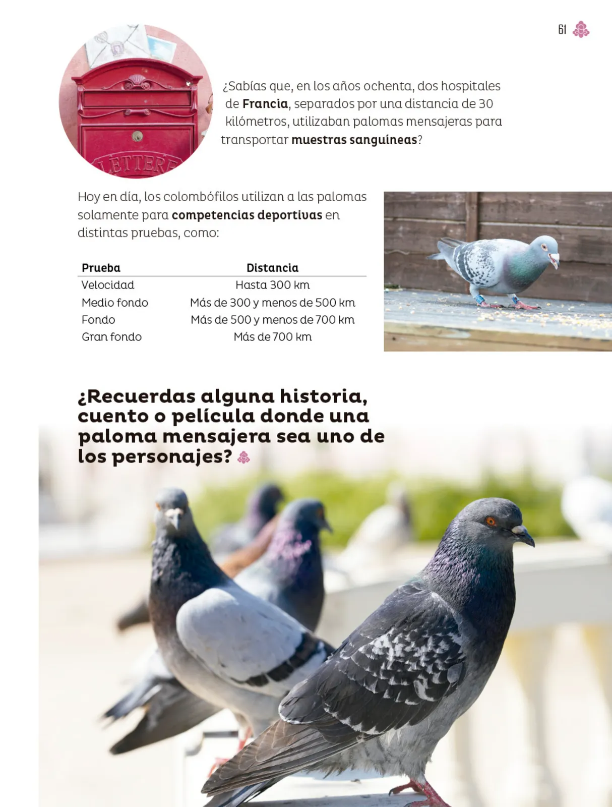 Pág 62