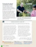 Miniatura página 108 de Historia, Geografía y Ciencias Sociales – Séptimo Básico | Texto del Estudiante MINEDUC – Descargar PDF · 2024