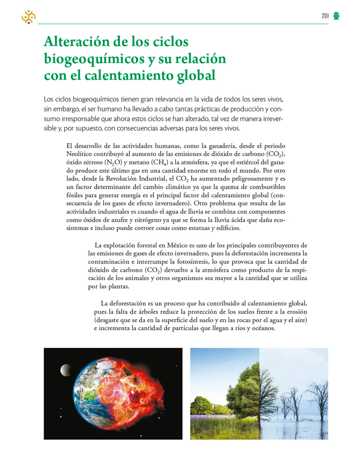Miniatura página 202 de Colección Ximhai. Saberes y pensamiento científico.   Libro de Educación Telesecundaria Grado 1°  Ciclo Escolar 2025 - 2026