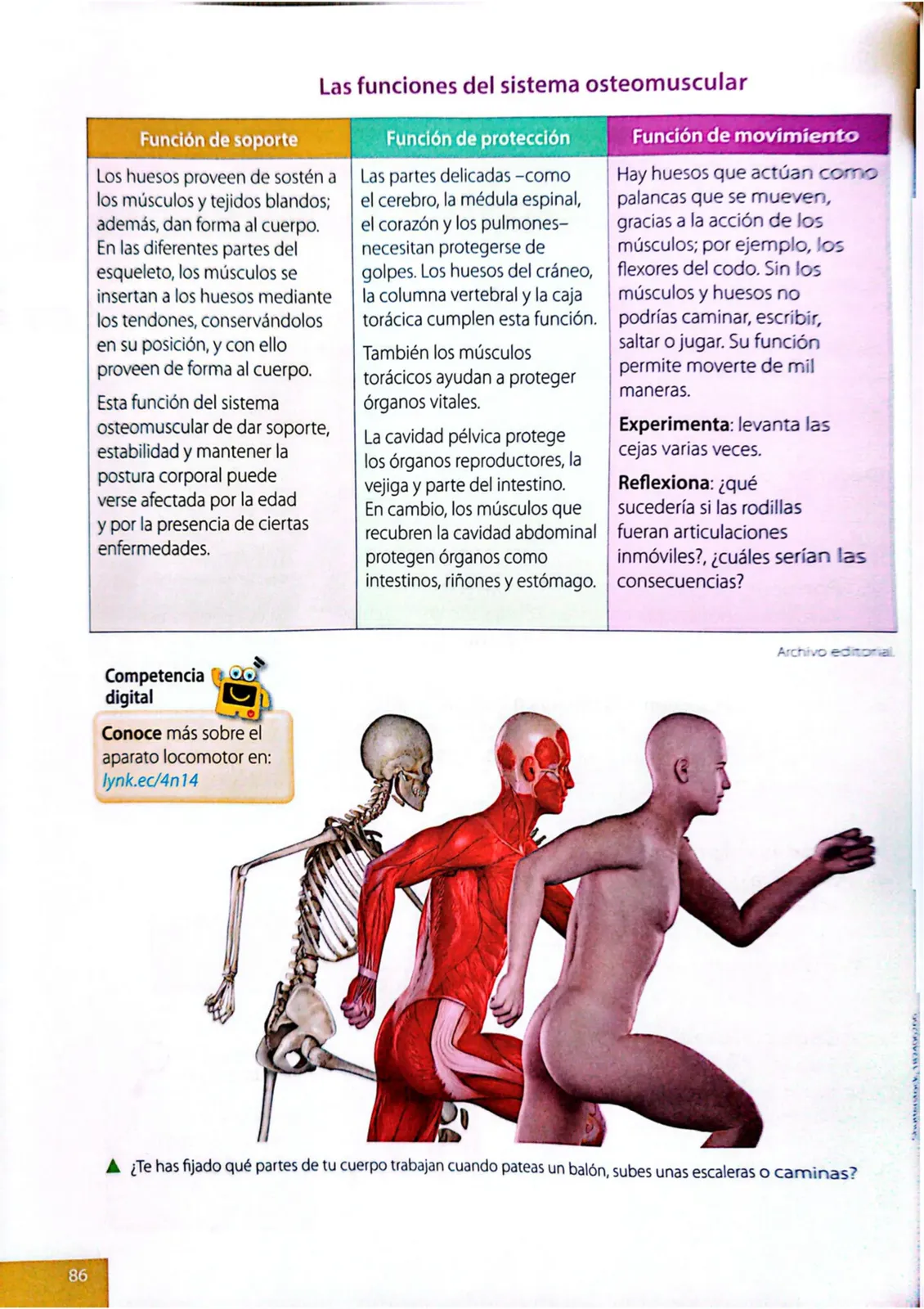 Miniatura página 83 de Ciencias Naturales · 4 EGB · 2025