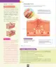 Miniatura página 41 de Ciencias Naturales – Séptimo Básico | Texto del Estudiante MINEDUC – Descargar PDF · 2024