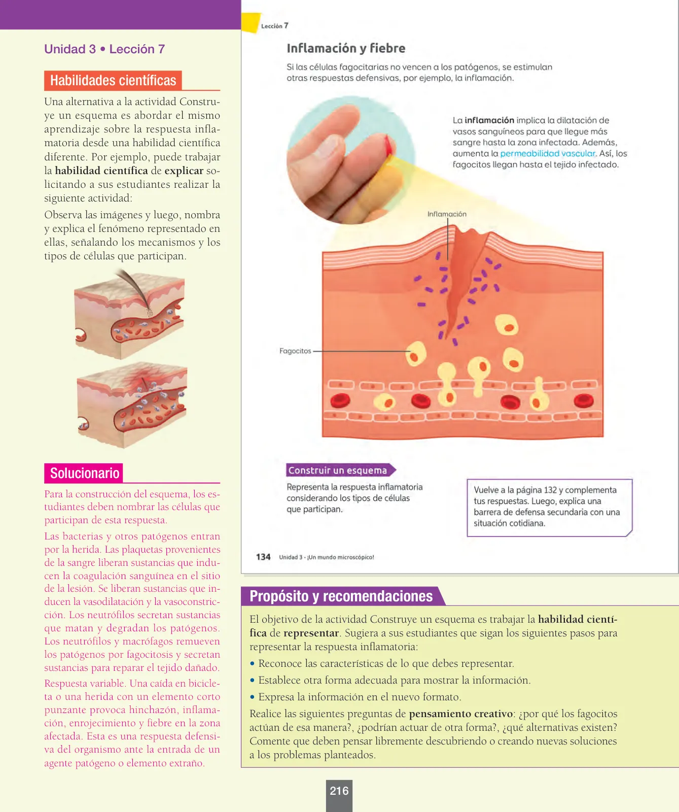 Miniatura página 41 de Ciencias Naturales – Séptimo Básico | Texto del Estudiante MINEDUC – Descargar PDF · 2024