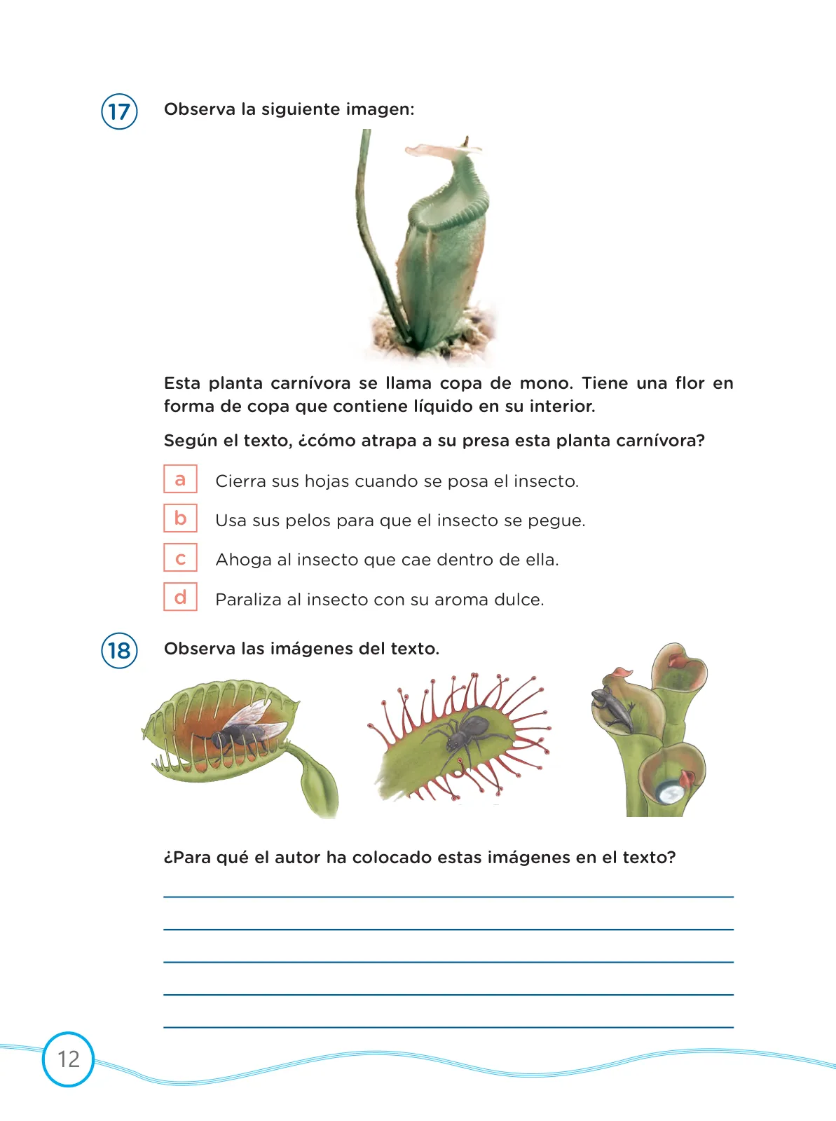 Página 12 de Kit de evaluación Salida Demostrando lo que aprendimos : Comunicación, tercer trimestre, ﻿Cuarto grado - Primaria · 2019