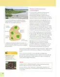 Miniatura página 161 de Ciencias Naturales 7° · 2025