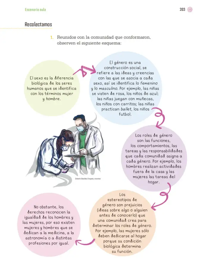Página 206 de Proyectos de Aula. Libro de Educación Primaria Grado 3° Ciclo Escolar 2025 - 2026