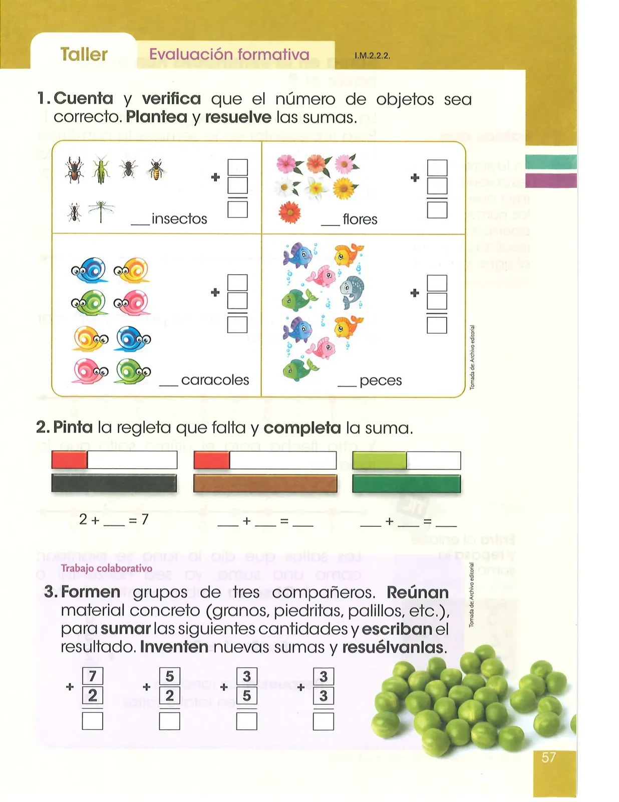 Pág 58