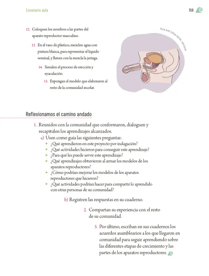 Página 162 de Proyectos de Aula. Libro de Educación Primaria Grado 5° Ciclo Escolar 2025 - 2026