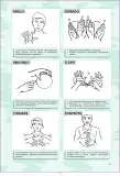Miniatura página 183 de Lengua de señas peruana : guía para el aprendizaje de la lengua de señas peruana, vocabulario básico · 2015