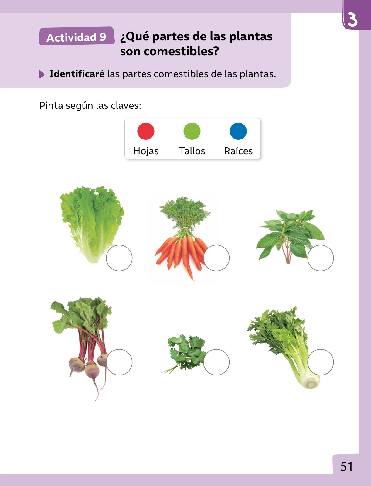 Miniatura página 52 de Ciencias Naturales – Primero Básico | Texto del Estudiante (MINEDUC) – Descargar PDF · 2024