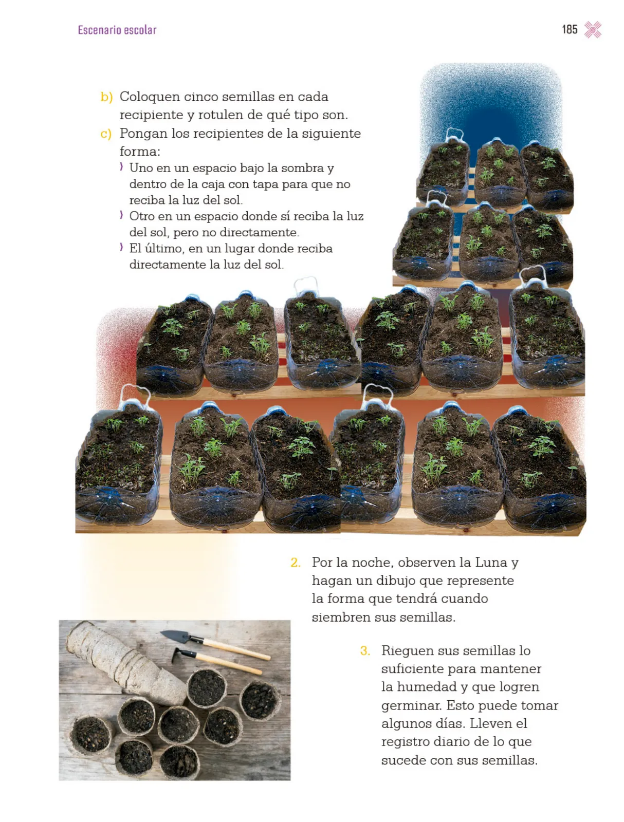 Página 188 de Proyectos Escolares.   Libro de Educación Primaria Grado 3°  Ciclo Escolar 2025 - 2026