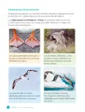 Miniatura página 168 de Ciencias Naturales – Cuarto Básico | Texto del Estudiante MINEDUC – Descargar PDF · 2024