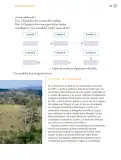 Miniatura página 204 de Proyectos Comunitarios.   Libro de Educación Primaria Grado 6°  Ciclo Escolar 2025 - 2026