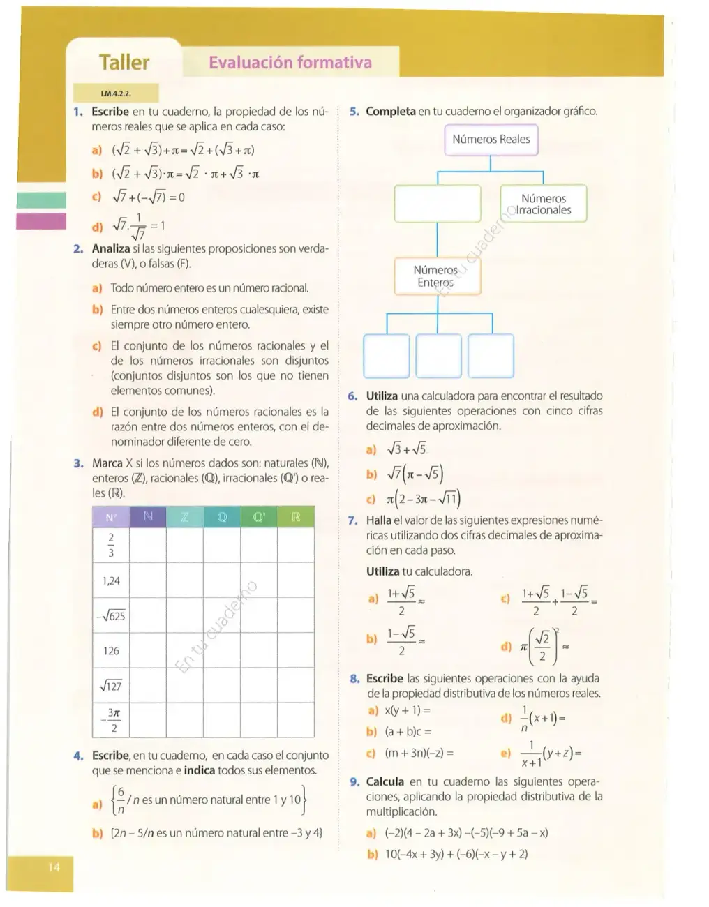 Página 14