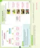 Miniatura página 111 de Ciencias Naturales – Segundo Básico | Texto del Estudiante MINEDUC – Descargar PDF · 2024