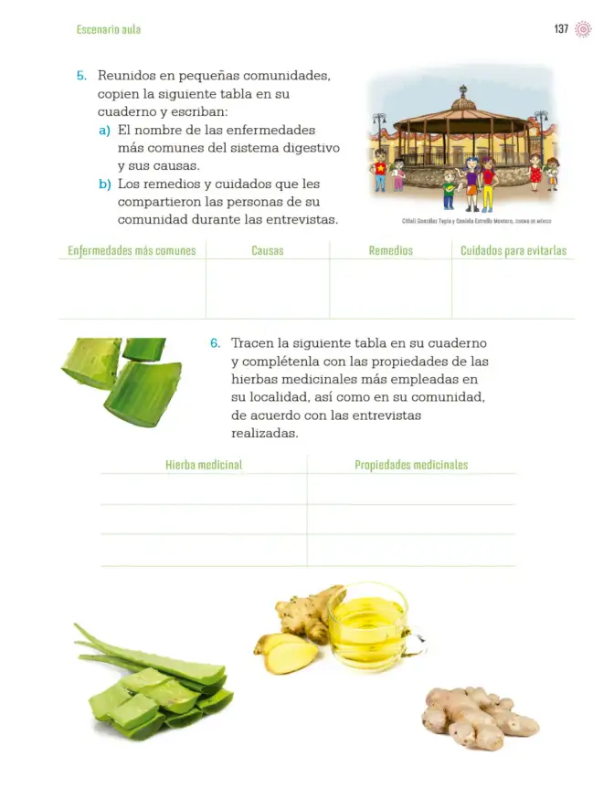 Página 140 de Proyectos de Aula. Libro de Educación Primaria Grado 4° Ciclo Escolar 2025 - 2026