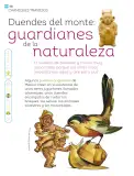Miniatura página 191 de Múltiples lenguajes.   Libro de Educación Primaria Grado 1°  Ciclo Escolar 2025 - 2026