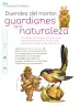 Miniatura página 191 de Múltiples lenguajes.   Libro de Educación Primaria Grado 1°  Ciclo Escolar 2025 - 2026