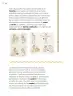 Miniatura página 135 de Múltiples lenguajes.   Libro de Educación Primaria Grado 6°  Ciclo Escolar 2025 - 2026