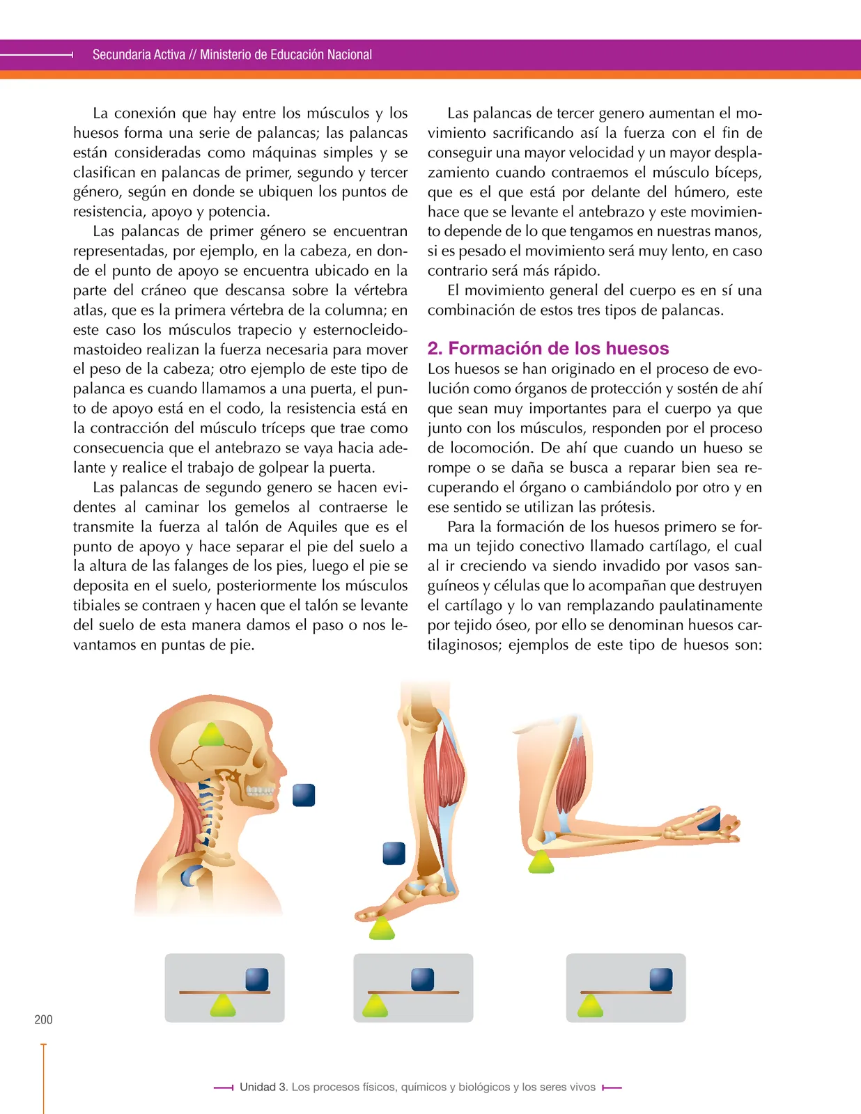 Página 200 de Ciencias Naturales 8° · Secundaria Activa