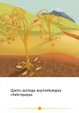 Miniatura página 7 de Qintiwan Amaru. Historias y relatos 4 - Inicial - Quechua chanka · 2023