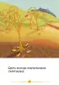 Miniatura página 7 de Qintiwan Amaru. Historias y relatos 4 - Inicial - Quechua chanka · 2023