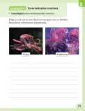 Miniatura página 40 de Ciencias Naturales – Segundo Básico | Texto del Estudiante MINEDUC – Descargar PDF · 2024