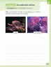 Miniatura página 40 de Ciencias Naturales – Segundo Básico | Texto del Estudiante MINEDUC – Descargar PDF · 2024