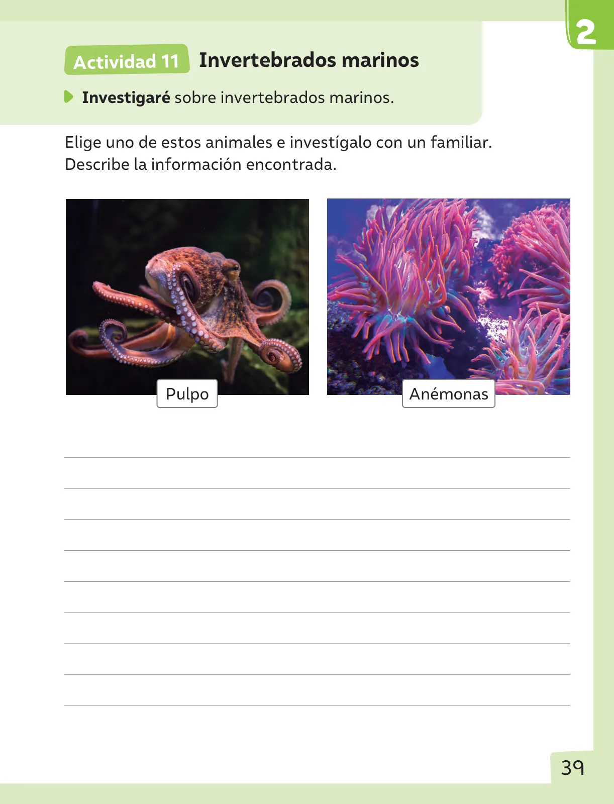 Miniatura página 40 de Ciencias Naturales – Segundo Básico | Texto del Estudiante MINEDUC – Descargar PDF · 2024