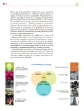 Miniatura página 131 de Colección Nanahuatzin. De lo humano y lo comunitario.   Libro de Educación Secundaria Grado 3°  Ciclo Escolar 2025 - 2026