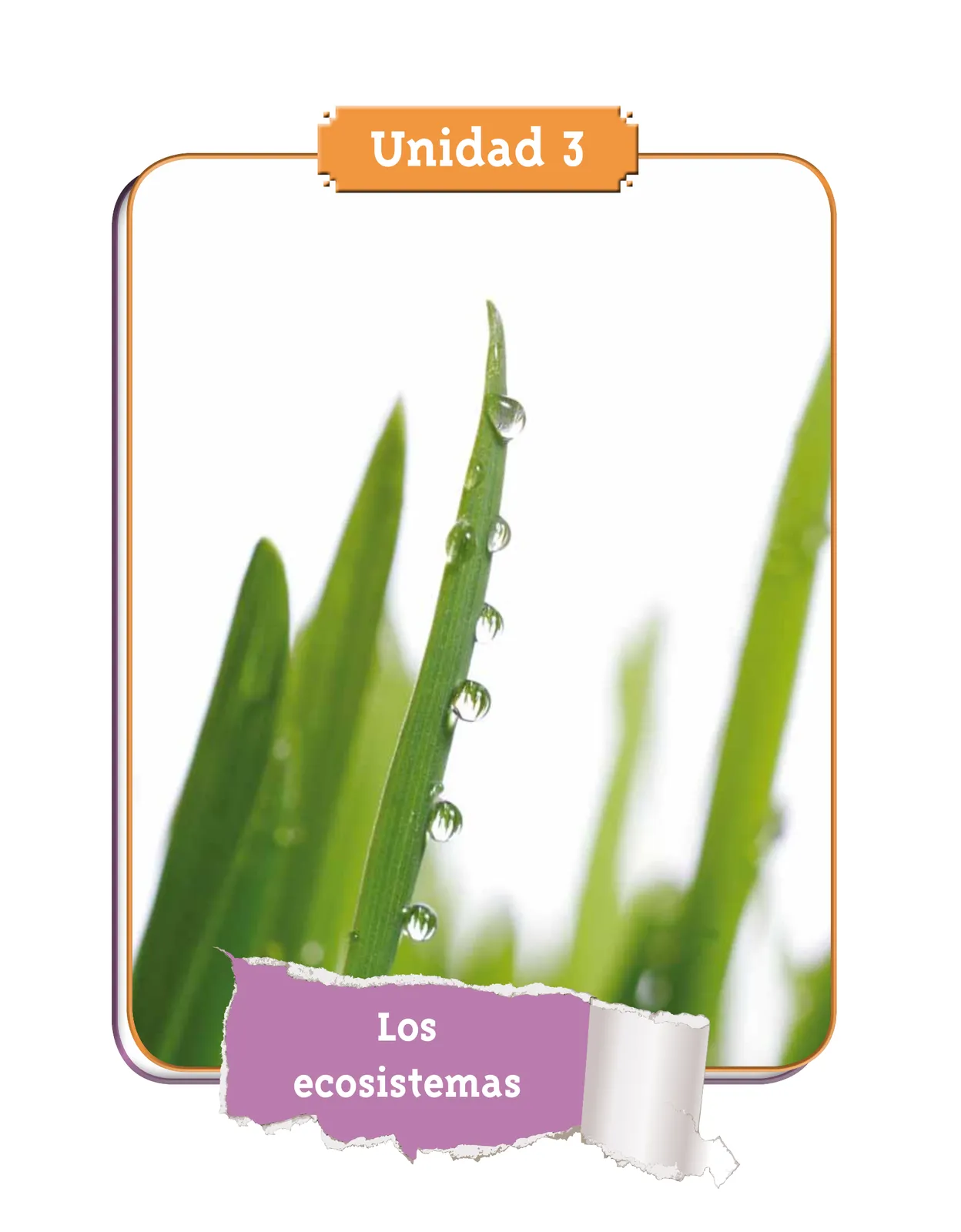 Página 87 de Ciencias Naturales 5° · Cartilla 01