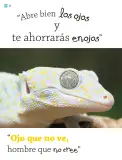 Miniatura página 21 de Múltiples lenguajes.   Libro de Educación Primaria Grado 1°  Ciclo Escolar 2025 - 2026