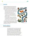 Miniatura página 188 de Colección Nanahuatzin. Nuestro libro de Proyectos. Tomo I.   Libro de Educación Telesecundaria Grado 3°  Ciclo Escolar 2025 - 2026