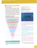Miniatura página 91 de Lengua Y Literatura 9° · Egb 9 Lengua Y Literatura 2025 · 2025