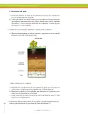Miniatura página 204 de Ciencias Naturales 7° · Secundaria Activa