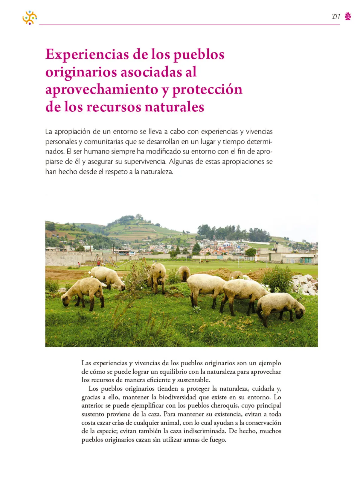 Página 278 de Colección Ximhai. Saberes y pensamiento científico.   Libro de Educación Secundaria Grado 1°  Ciclo Escolar 2025 - 2026