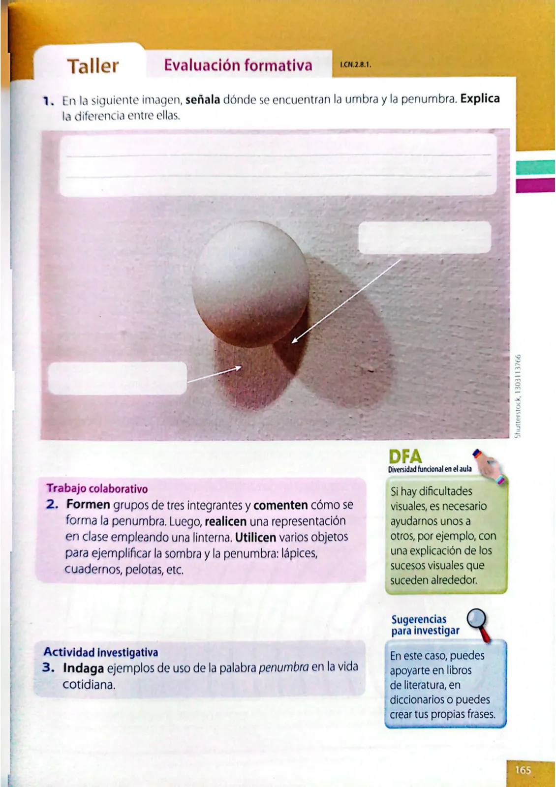 Miniatura página 162 de Ciencias Naturales · 4 EGB · 2025