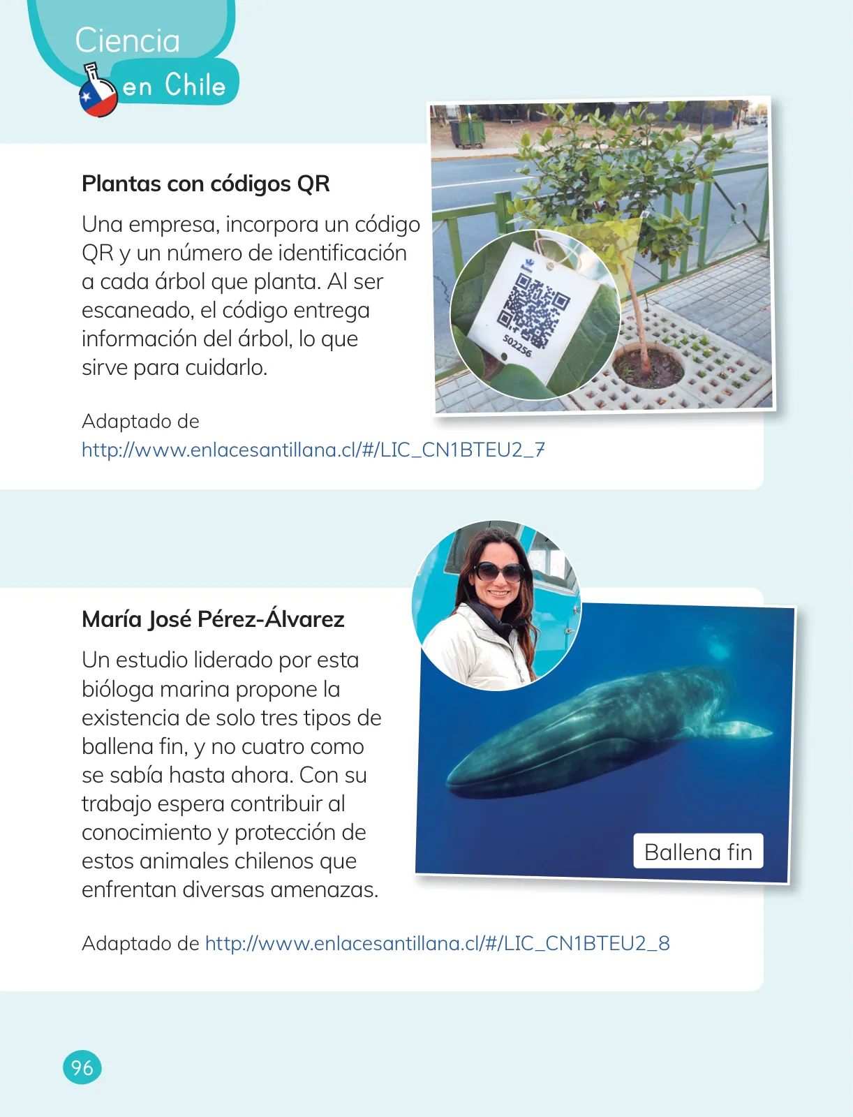 Miniatura página 98 de Ciencias Naturales – Primero Básico | Texto del Estudiante (MINEDUC) – Descargar PDF · 2024