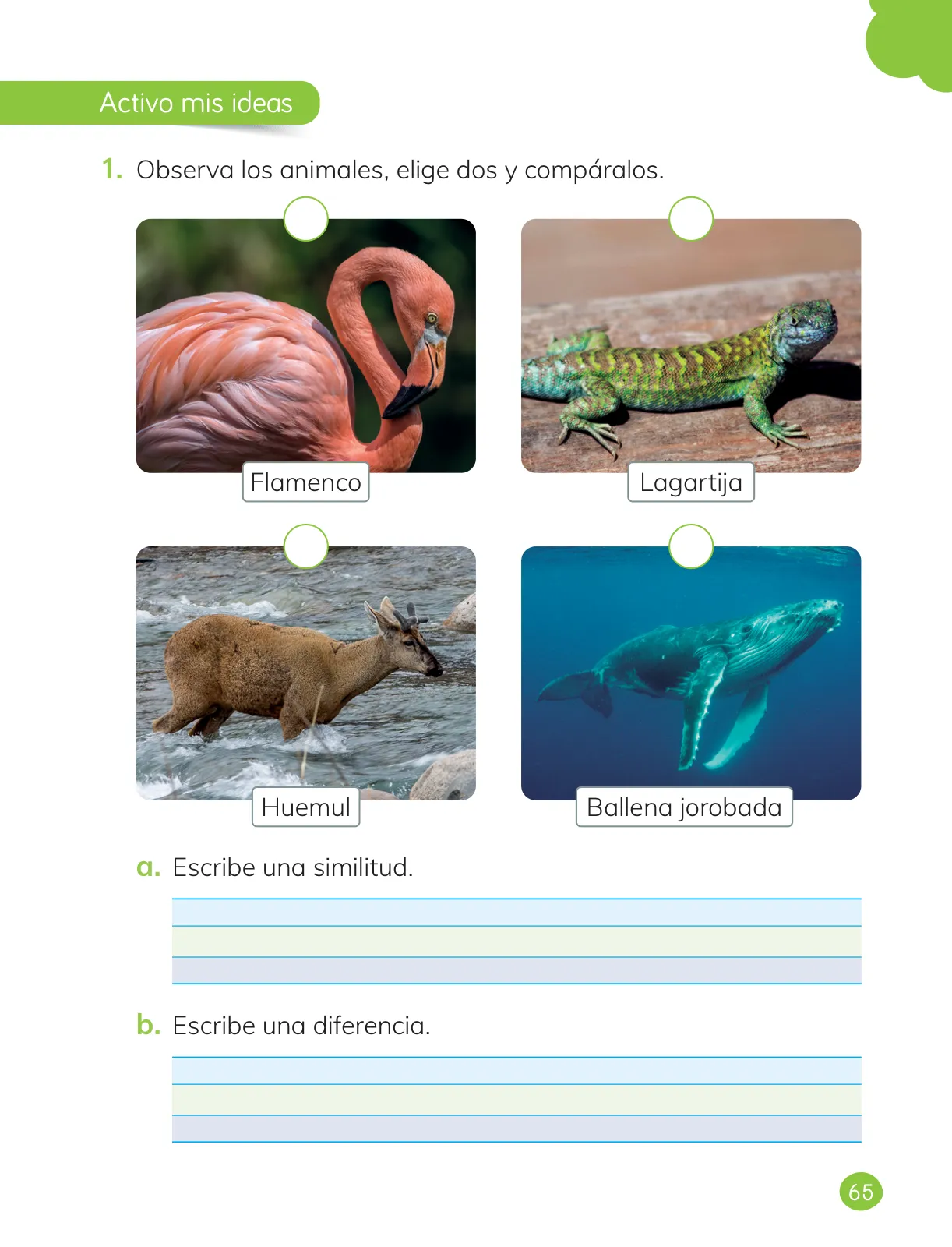 Miniatura página 67 de Ciencias Naturales – Primero Básico | Texto del Estudiante (MINEDUC) – Descargar PDF · 2024