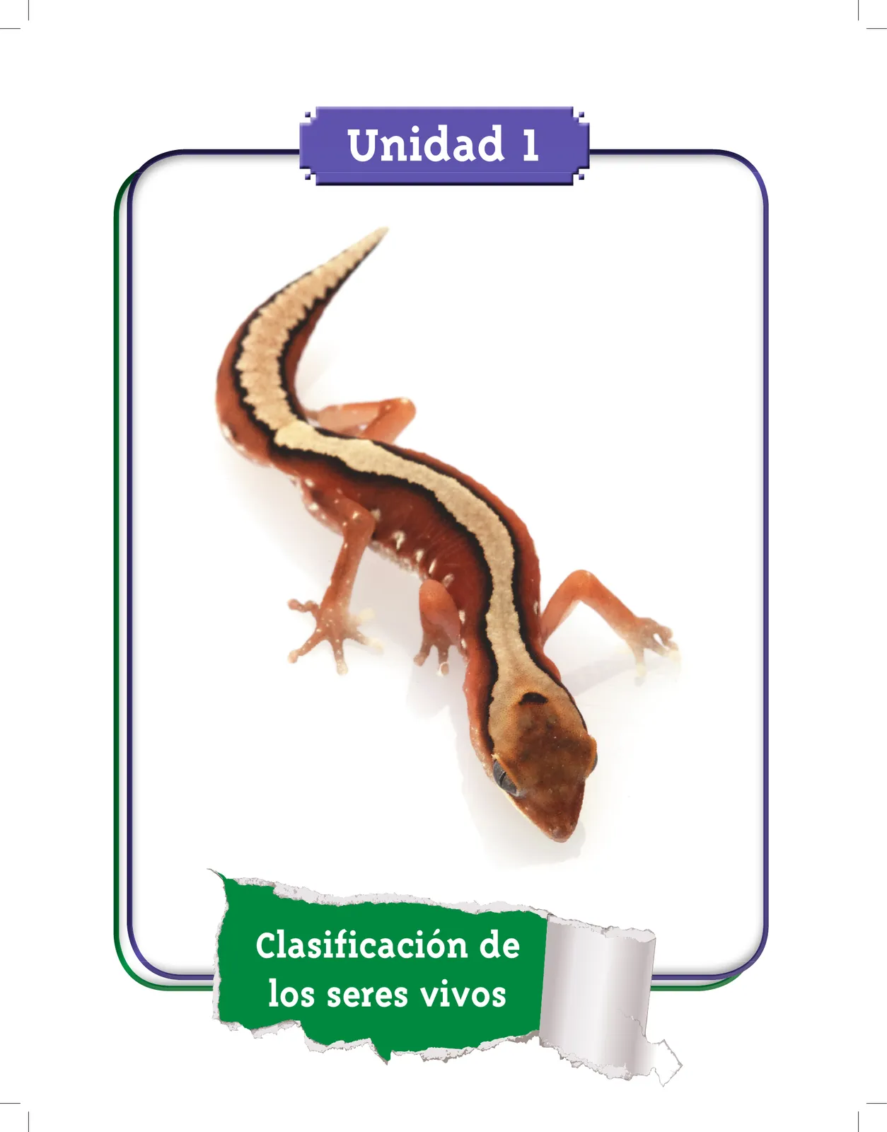 Página 7 de Ciencias Naturales 3° · Cartilla 01