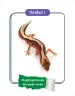 Miniatura página 7 de Ciencias Naturales 3° · Cartilla 01