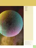 Miniatura página 69 de Ciencias Naturales 6° · Egb 6 Ciencias Naturales 2025 · 2025