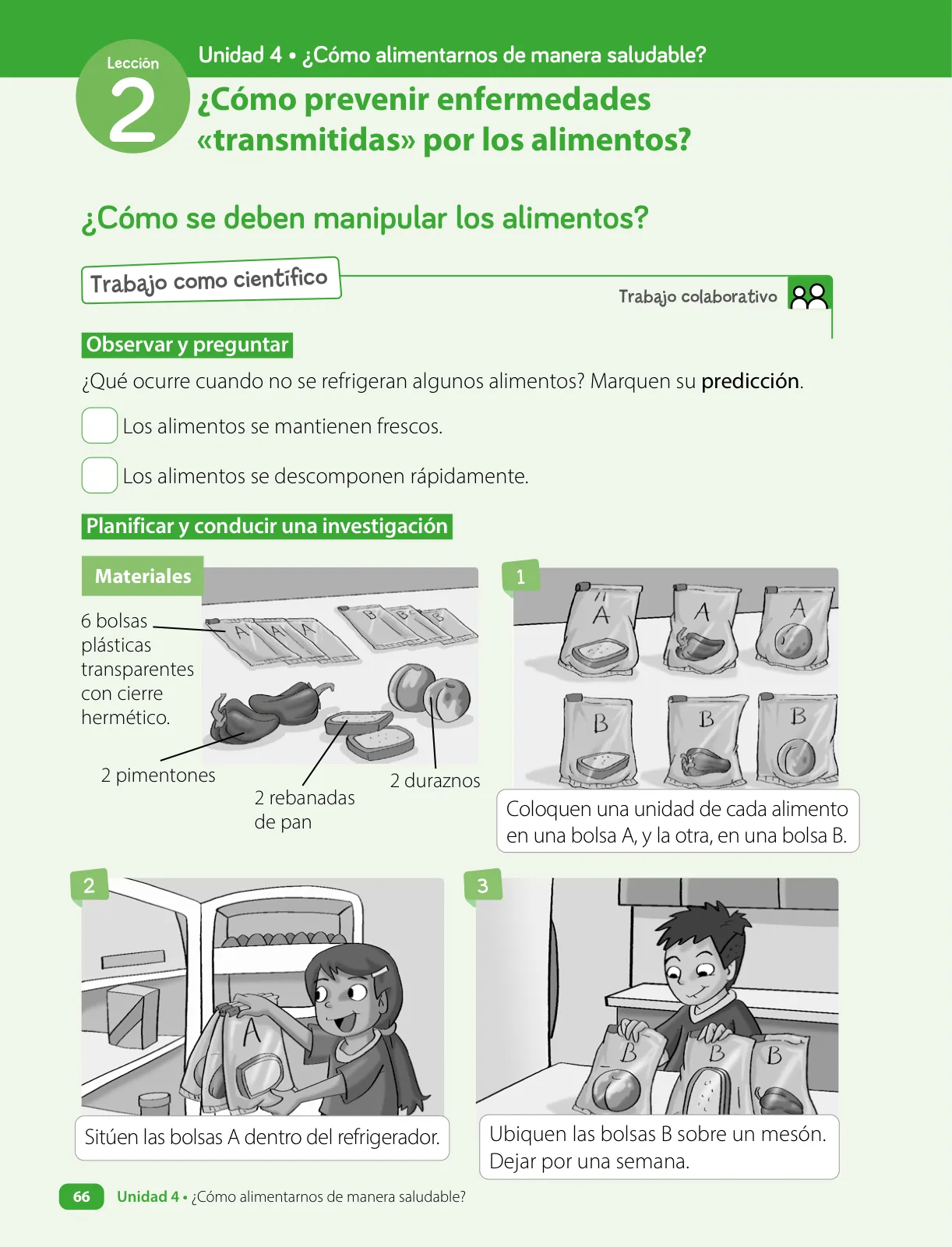 Miniatura página 68 de Ciencias Naturales – Tercero Básico | Texto del Estudiante MINEDUC – Descargar PDF · 2024