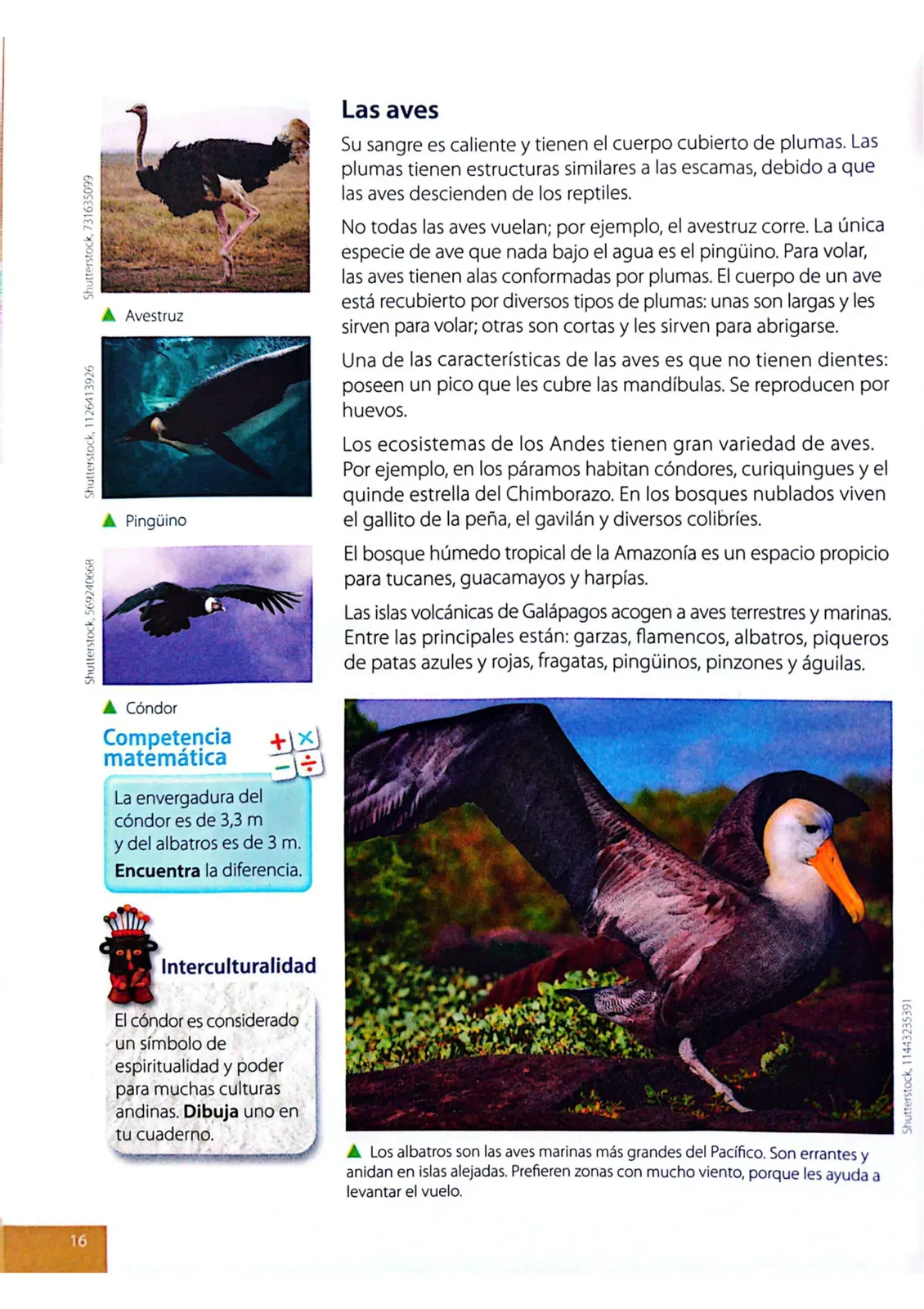Página 13