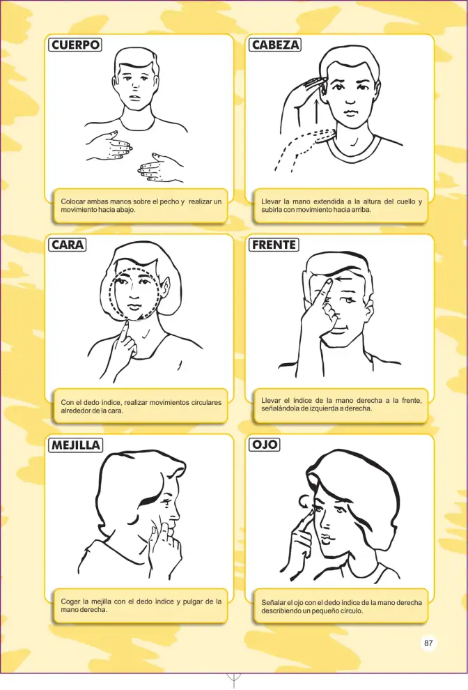 Página 87 de Lengua de señas peruana : guía para el aprendizaje de la lengua de señas peruana, vocabulario básico · 2015
