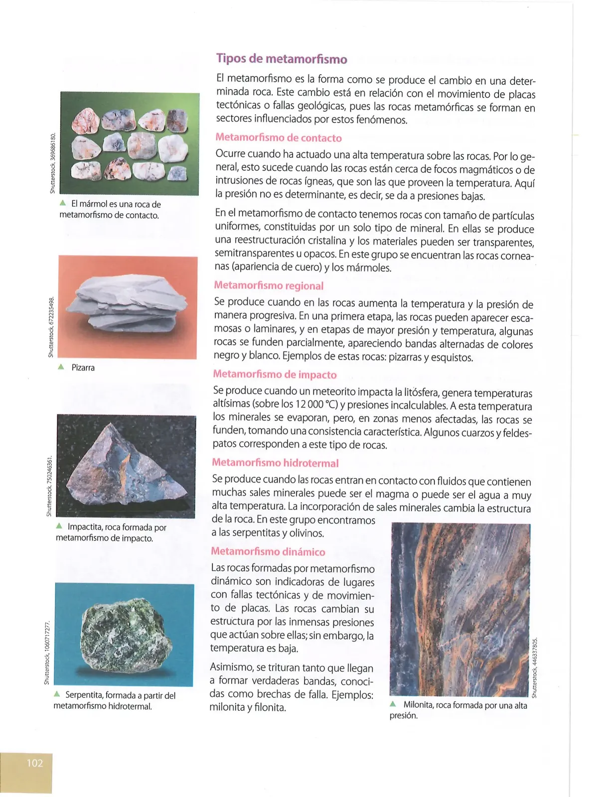Página 99 de Ciencias Naturales · 10 EGB · 2024