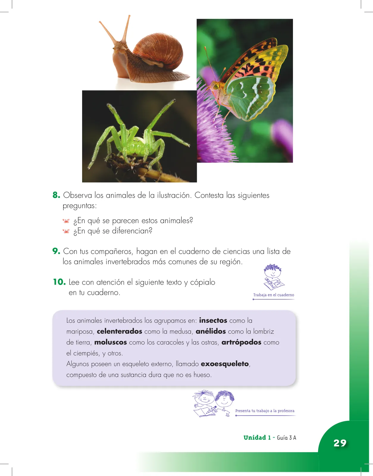 Miniatura página 29 de Ciencias Naturales 3° · Cartilla 01