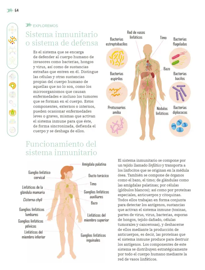 Página 65 de Nuestros saberes: Libro para alumnos, maestros y familia. Libro de Educación Primaria Grado 6° Ciclo Escolar 2025 - 2026
