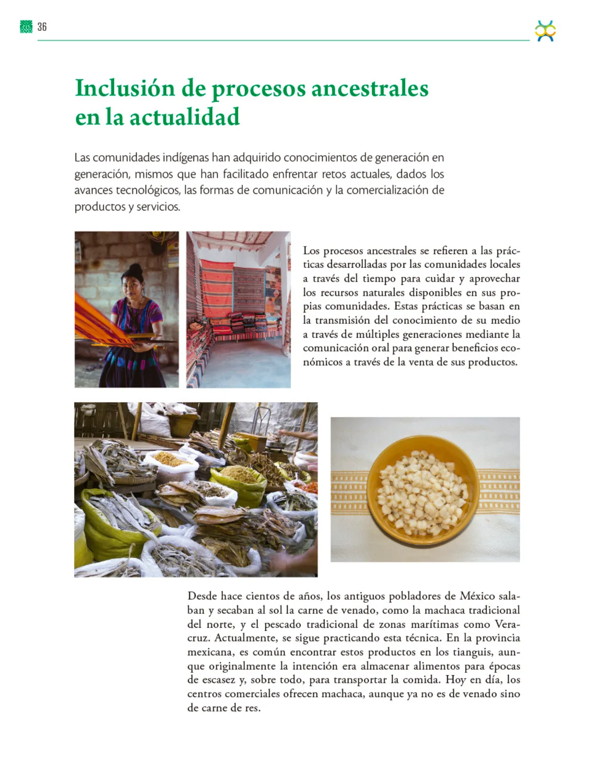 Miniatura página 37 de Colección Nanahuatzin. De lo humano y lo comunitario.   Libro de Educación Telesecundaria Grado 3°  Ciclo Escolar 2025 - 2026