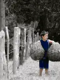 Miniatura página 197 de Nuestros saberes: Libro para alumnos, maestros y familia.   Libro de Educación Primaria Grado 3°  Ciclo Escolar 2025 - 2026