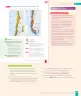 Miniatura página 155 de Historia, Geografía y Ciencias Sociales – Sexto Básico | Texto del Estudiante MINEDUC – Descargar PDF · 2024